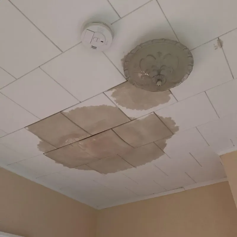 Ceiling Water Damage Repair in Wheeling, IL